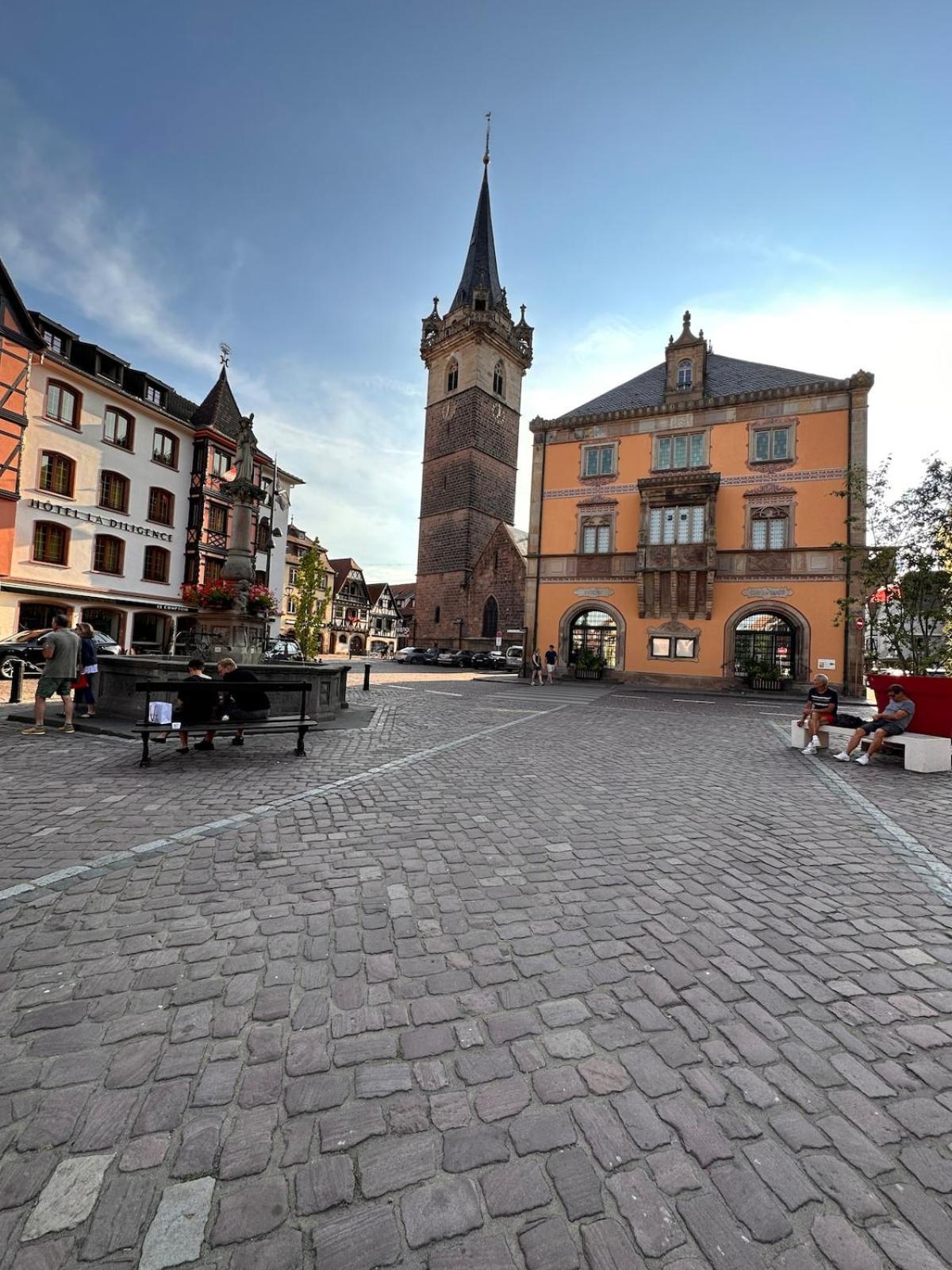 Le Nid Cosy D'Obernai /2Min Centre Ville/Parking Exterior photo