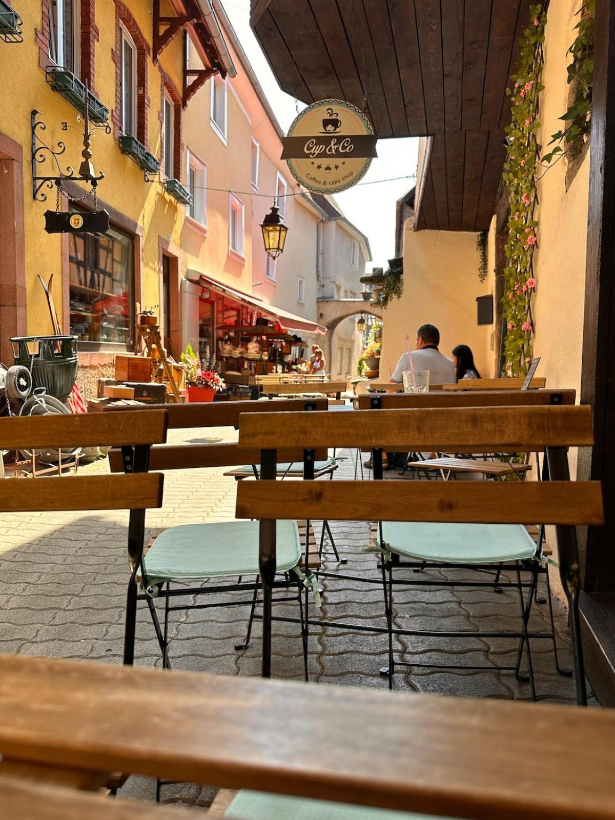 Le Nid Cosy D'Obernai /2Min Centre Ville/Parking Exterior photo